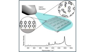 TOC of Neumann et al.