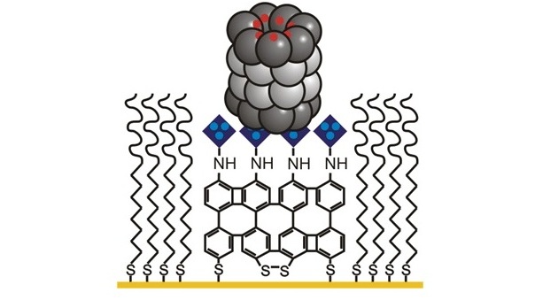 Controlled immobiliza- tion of His-tagged protein complexes (here: proteasome) in end-on orientation onto a CNM.