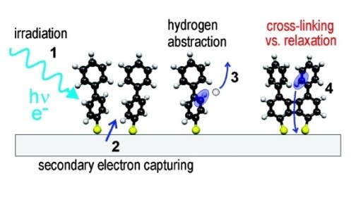Illustration of the molecular mechanisms of electron beam induced crosslinking.