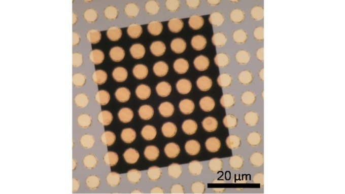 Optical micrograph of a freestanding nanosheet with Au dots that appear almost free-floating. Obviously, the integrity of the nanosheet is not destroyed during the lithographic patterning.