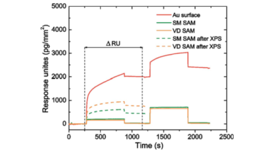 SPR characterization of the protein resistance of VDand SM C11EG3OH SAMs.