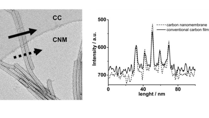 Image intensity measured along line sections perpendicular to TMV on CNM (dashed arrow) and CC (solid arrow) supports.