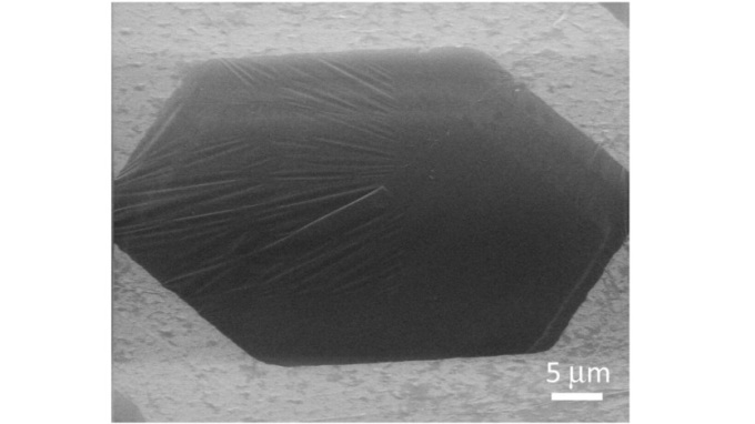 Helium Ion Microscopy (HIM) image of a 1 nm thick CNM covering a hexagonal pore (∼40 μm in diameter).