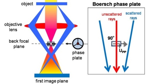 Phase contrast TEM with a BPP. The BPP is an electrostatic einzel lens that shifts the phase of the unscattered beam by 90° to maximise in-focus phase contrast of weak-phase objects.