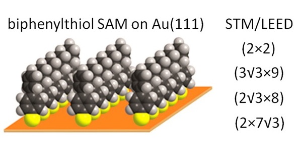 Spherical Model of biphenylthiol SAM on Au(111)