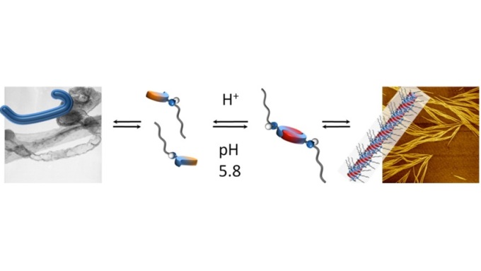 Zwitterions forming Dimers and Nanostructures as a consequence of pH-changes
