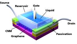 Scheme of the prepared microfluidic setup for biosensors
