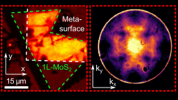 Spatial PL mapping of 1L-MoS2 on silicon nanocylinder metasurface