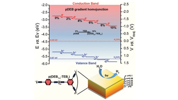 Schematic representation of the gradient homojunction for photoelectrical water reduction.