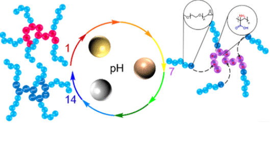 Representation of the pH-Controlled formation of Alloy nanoparticles by Polyampholytic Graft Copolymers