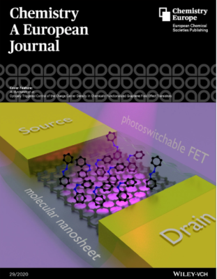 Cover Feature of Chemistry - A European Journal 29/2020