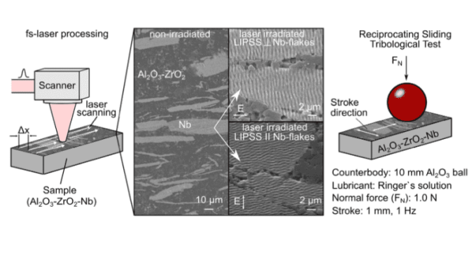 Schematic illustraion of fs-laser processing and the tribological tests