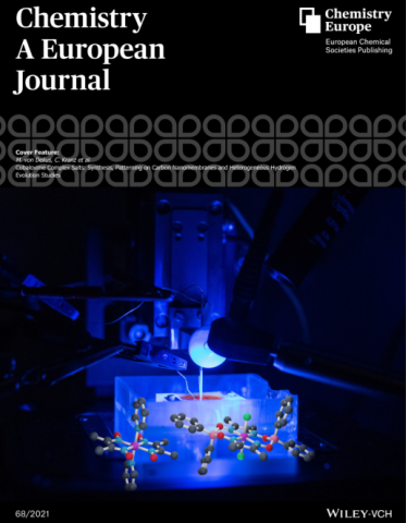 Cover Image Adler et al 2021 Chemistry - A European Journal
